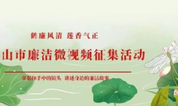 廉洁视频,视频揭示反腐倡廉的力量与智慧